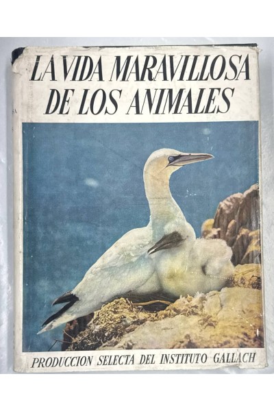 LA VIDA MARAVILLOSA DE LOS ANIMALES (I)